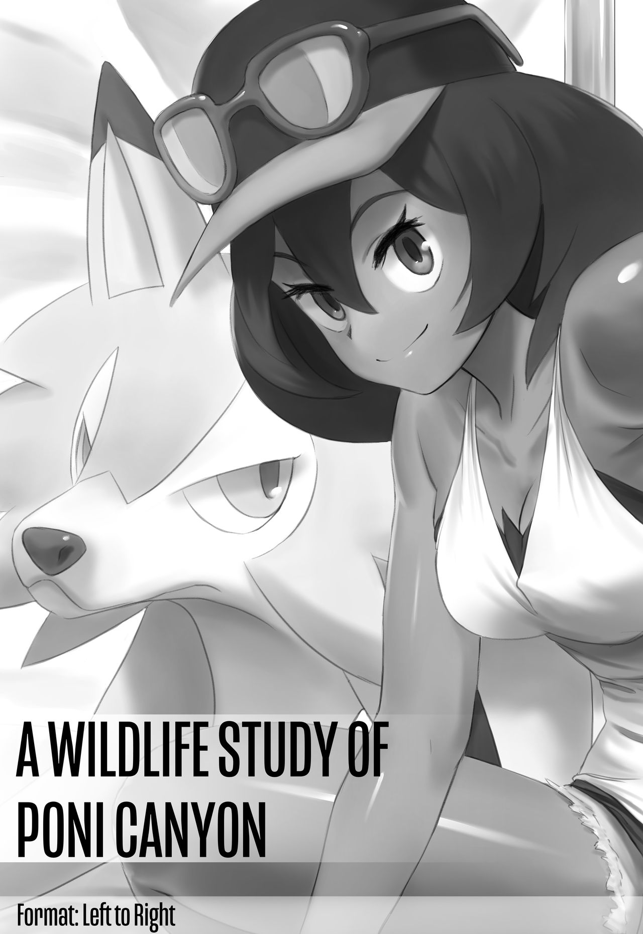 [Jiffic] A Wildlife Study of Poni Canyon (Pokemon Sun & Moon)_00.png